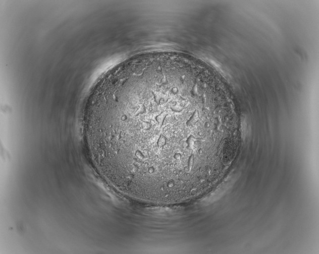 X0000091101405200708131058