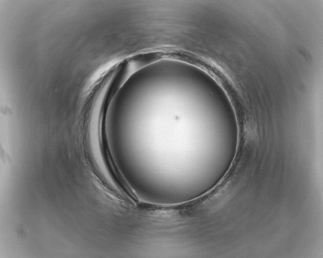 X0000091101406200708131058