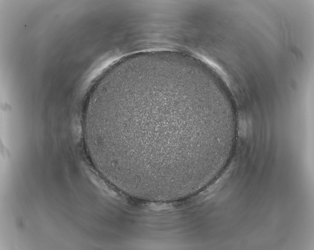 X0000091101407200708131058