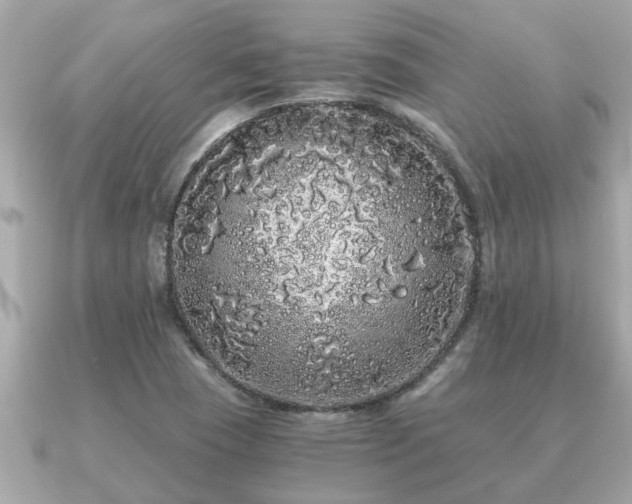 X0000091101409200708131058