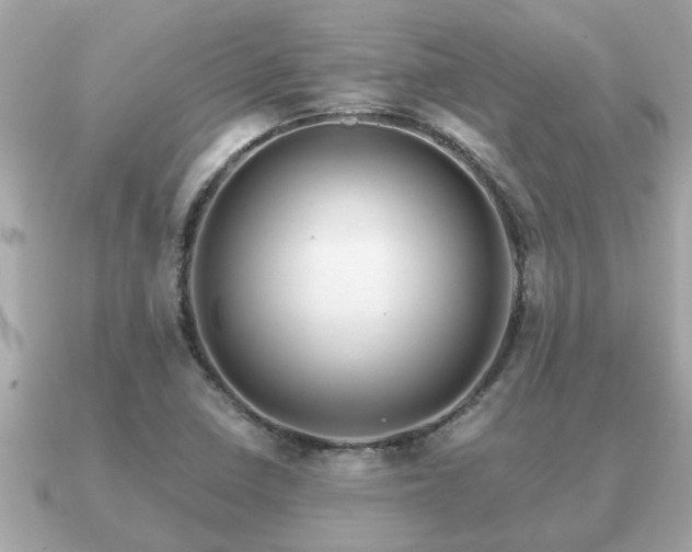 X0000091101410200708131058