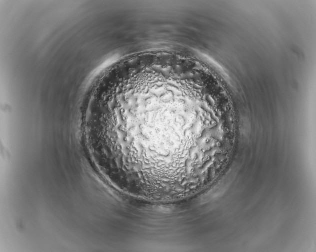 X0000091101411200708131058