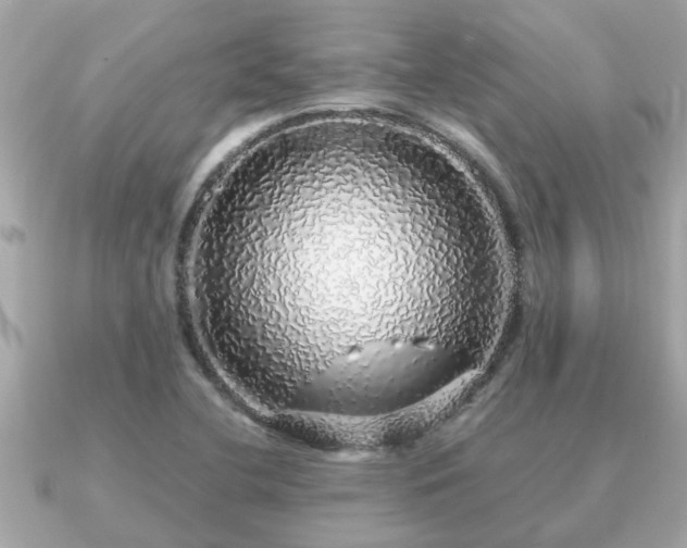 X0000091101412200708131058