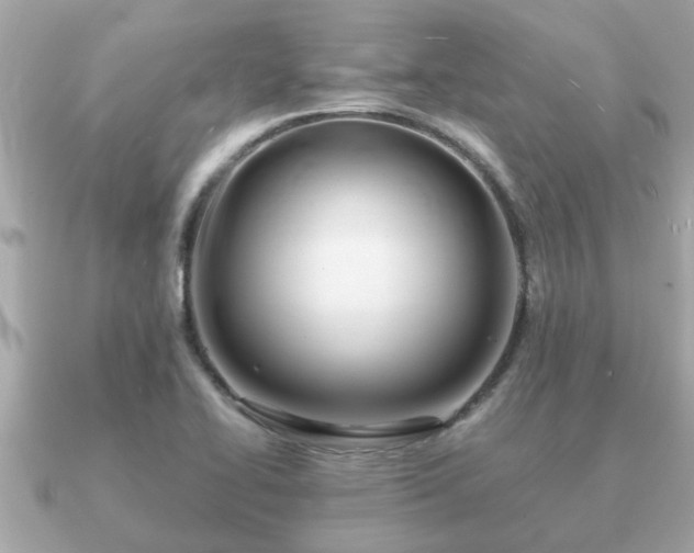 X0000091101414200708131058