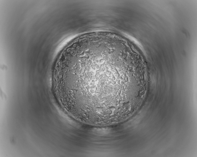 X0000091101415200708131058