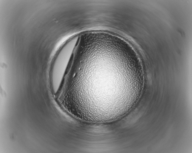 X0000091101416200708131058