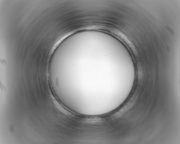 X0000091101417200708131058