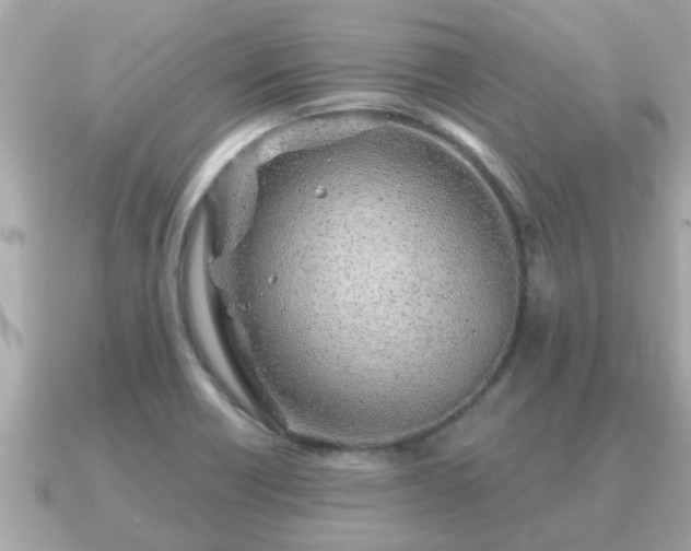 X0000091101418200708131058