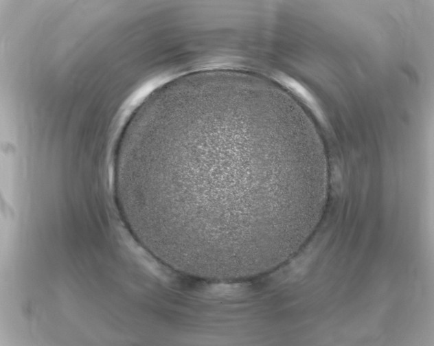 X0000091101419200708131058