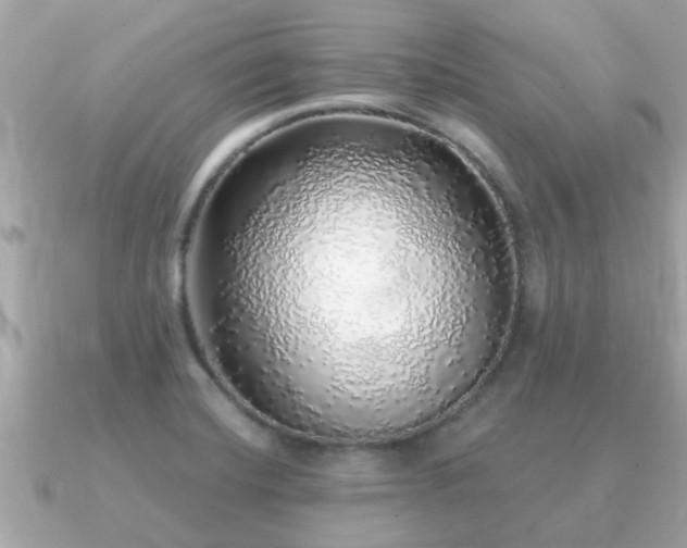 X0000091101420200708131058