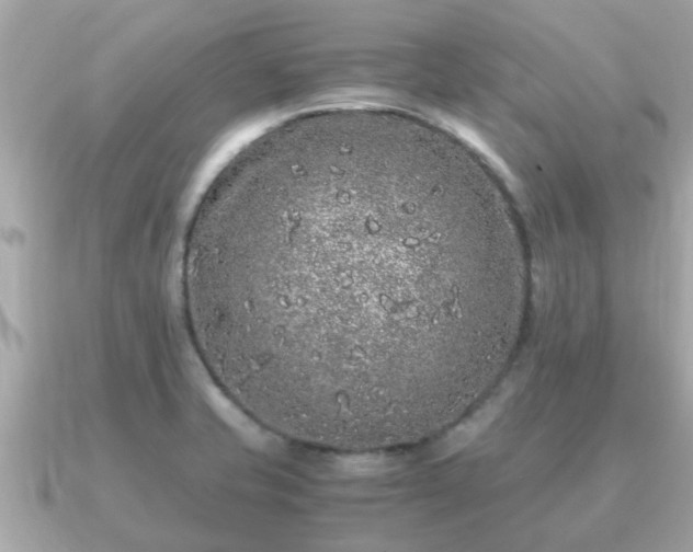 X0000091101421200708131058