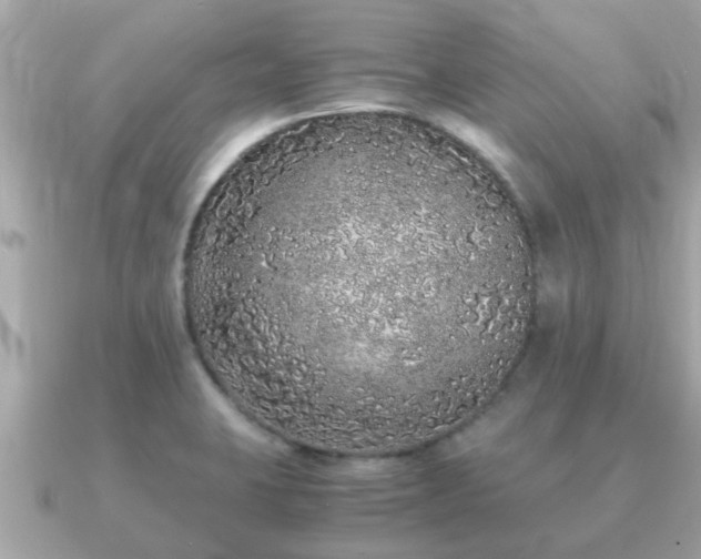 X0000091101423200708131058