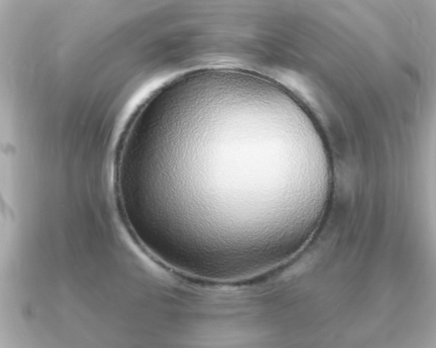 X0000091101424200708131058