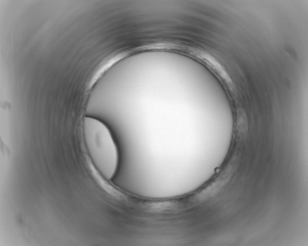 X0000091101425200708131058