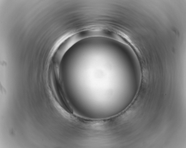 X0000091101426200708131058