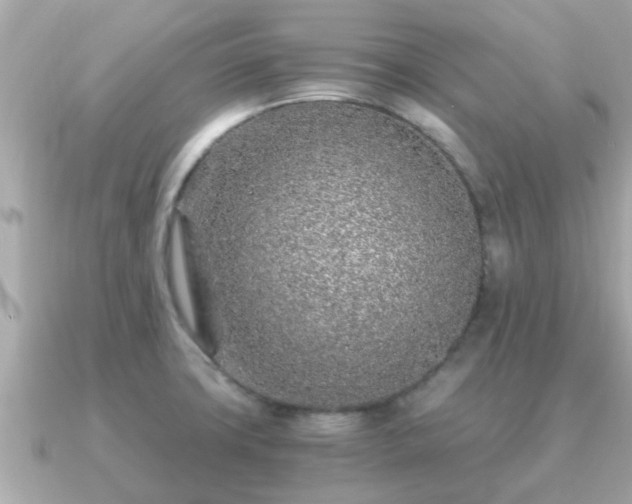 X0000091101427200708131058