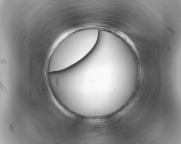 X0000091101429200708131058