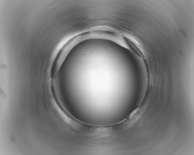 X0000091101430200708131058