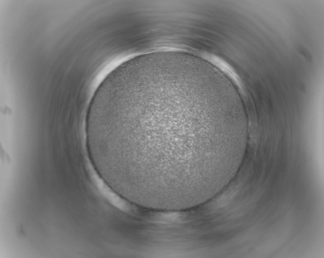 X0000091101431200708131058