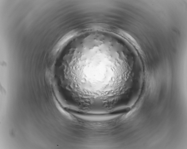 X0000091101433200708131058