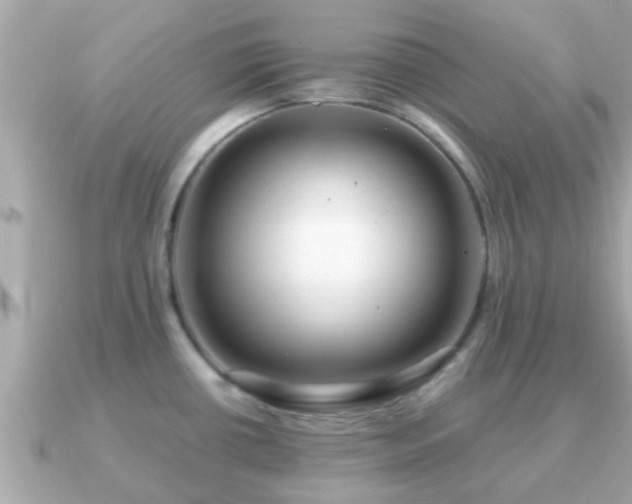 X0000091101434200708131058