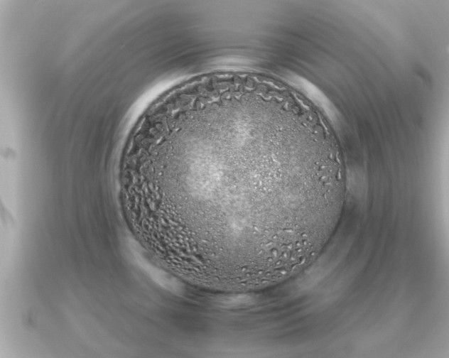 X0000091101435200708131058