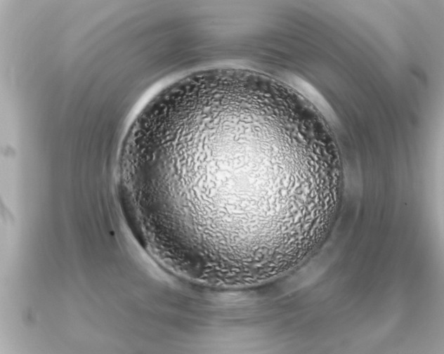 X0000091101436200708131058