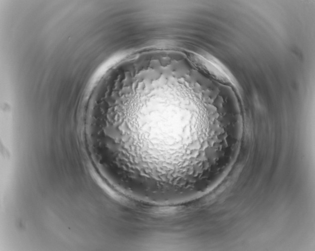 X0000091101437200708131058