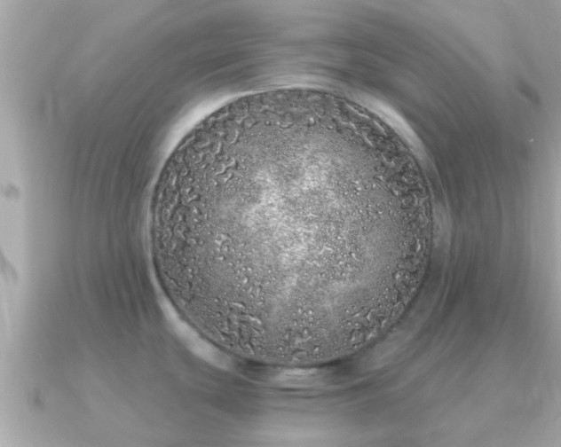 X0000091101439200708131058