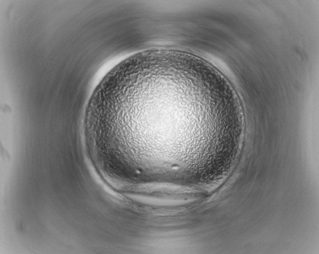 X0000091101440200708131058