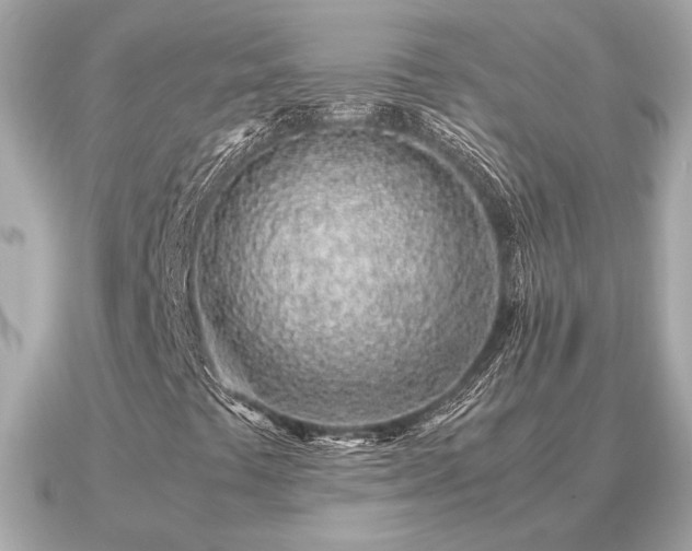 X0000091101441200708131058