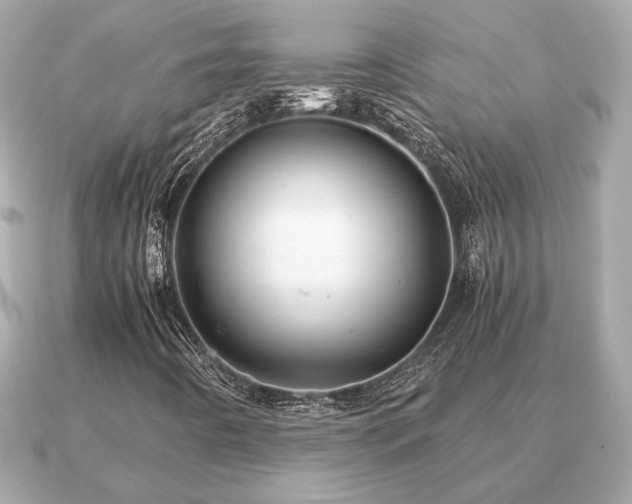 X0000091101442200708131058