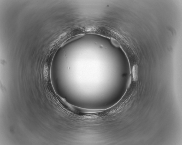 X0000091101443200708131058