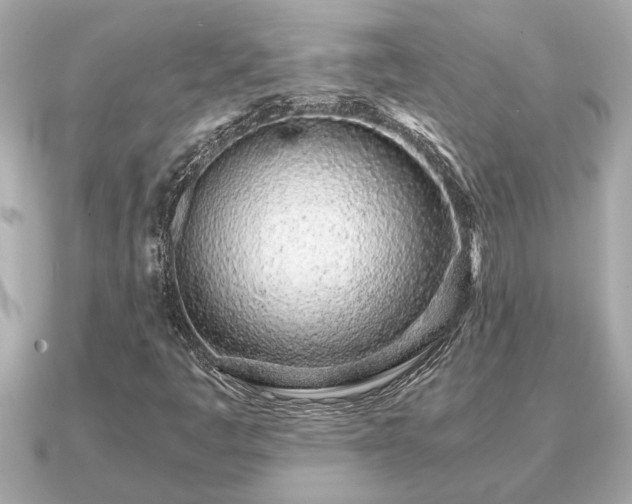 X0000091101445200708131058