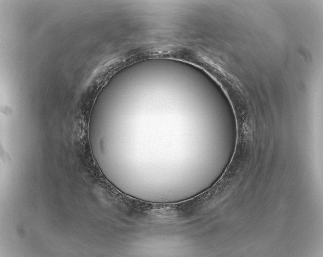 X0000091101447200708131058