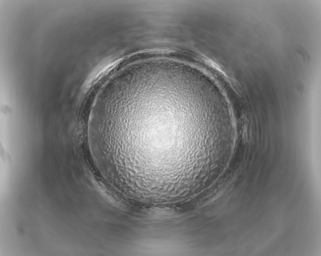 X0000091101448200708131058