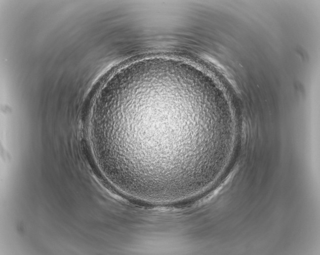 X0000091101449200708131058