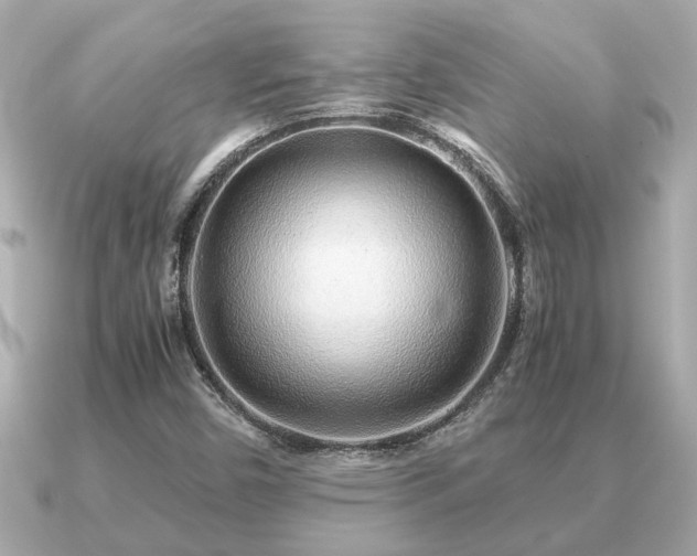 X0000091101450200708131058