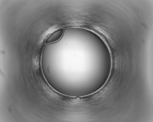 X0000091101451200708131057