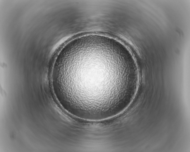 X0000091101452200708131057