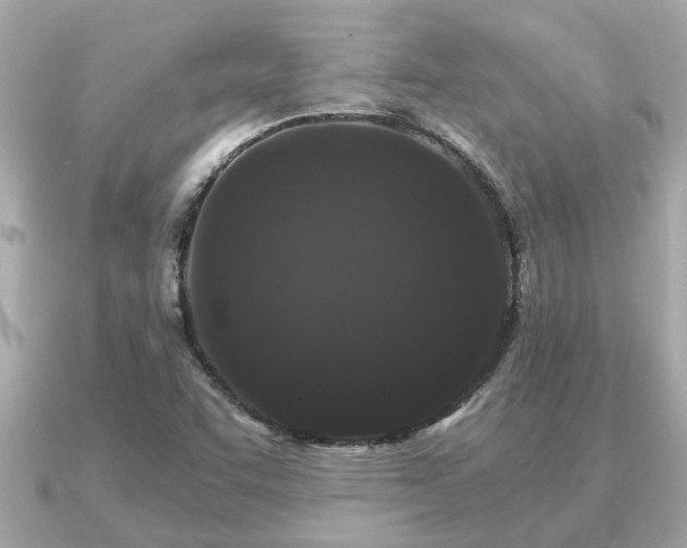 X0000091101455200708131057