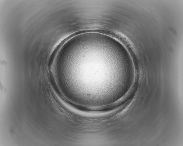 X0000091101457200708131057