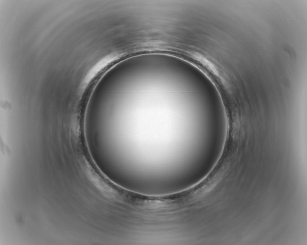 X0000091101458200708131057