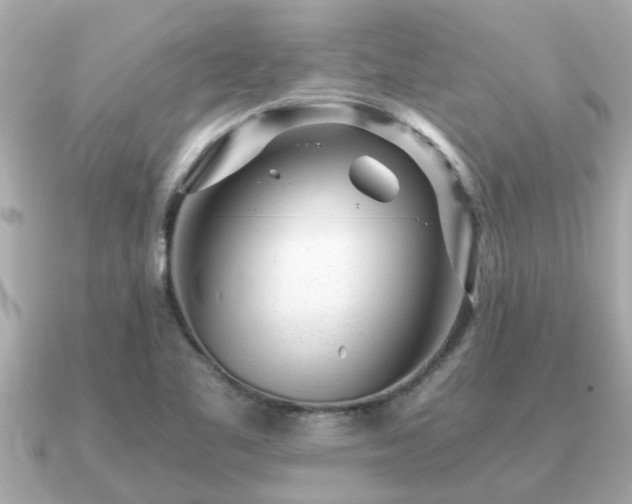 X0000091101461200708131057