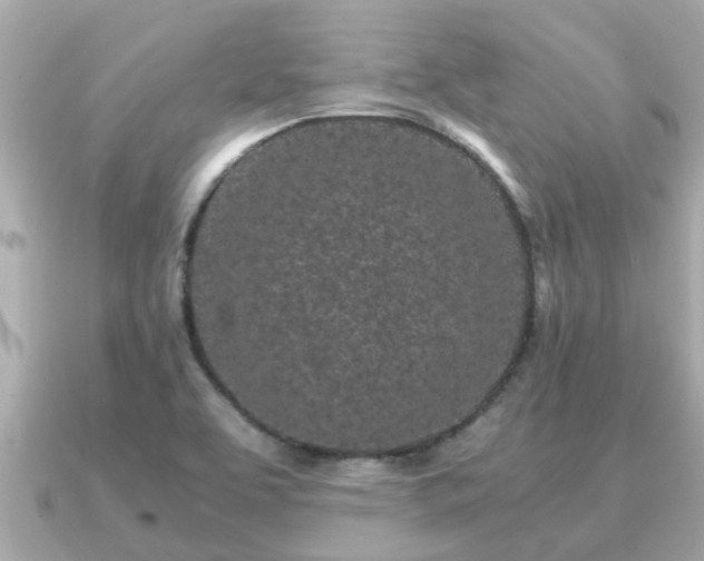 X0000091101463200708131057