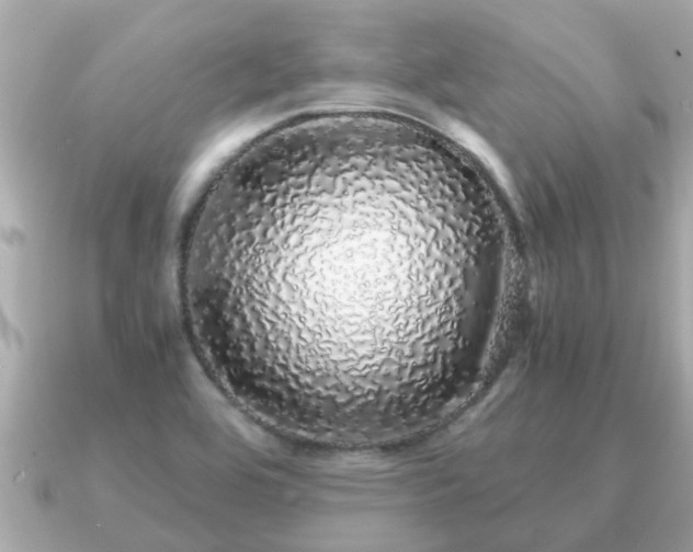 X0000091101464200708131057