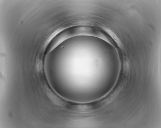 X0000091101465200708131057