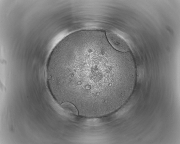 X0000091101467200708131057