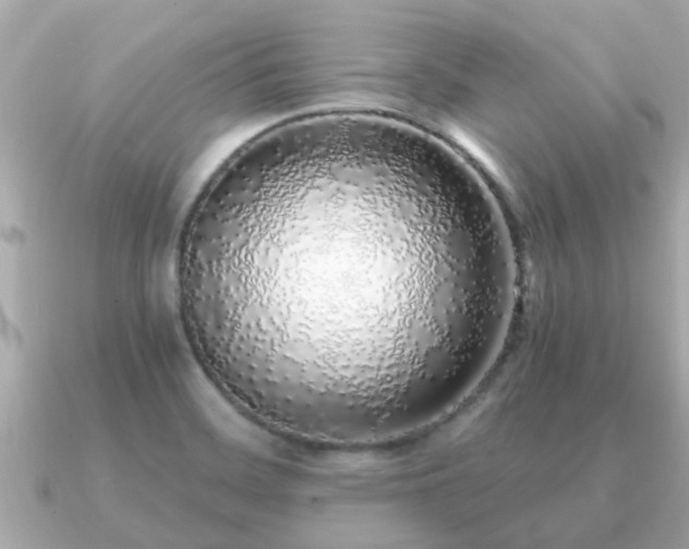 X0000091101468200708131057