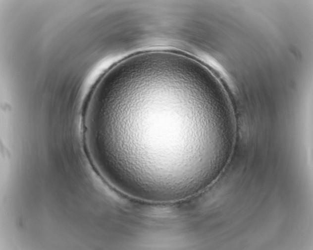 X0000091101472200708131057